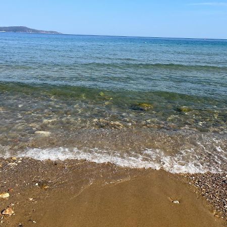 T2- 2Adultes/2Enfants Centre-Ville, Proche Plages Cavalaire-sur-Mer Eksteriør bilde